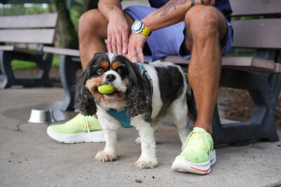 Tricolor dog photographed at Mizner Bark Dog Park on September 3, 2026